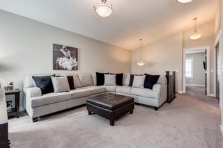 Photo 22: 689 Nolan Hill Boulevard NW in Calgary: Nolan Hill Detached for sale : MLS®# A1226864