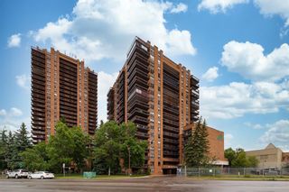 Photo 3: 312 9800 Horton Road SW in Calgary: Haysboro Apartment for sale : MLS®# A2145479