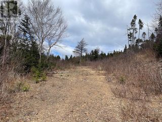 Photo 4: 102-104 Freshwater Pond Road in Lewins Cove: Vacant Land for sale : MLS®# 1262433