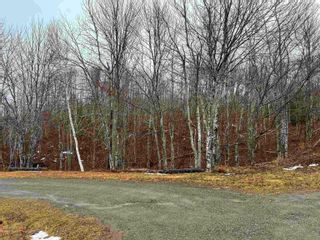 Photo 19: 9032 Highway 4 in Telford: 108-Rural Pictou County Residential for sale (Northern Region)  : MLS®# 202227600