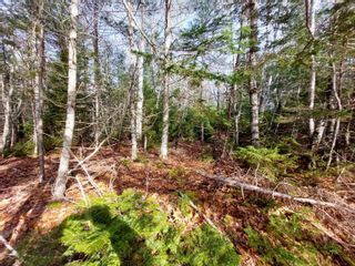 Photo 18: Lot Bowers Road in Lower Ohio: 407-Shelburne County Vacant Land for sale (South Shore)  : MLS®# 202302336