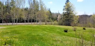 Photo 3: 387 Rodney Road in Leamington: 102S-South Of Hwy 104, Parrsboro and area Residential for sale (Northern Region)  : MLS®# 202113154