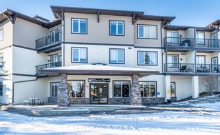 Photo 23: 201 43 Sunrise Loop SE: High River Apartment for sale : MLS®# A1166092