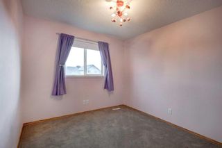 Photo 18: 332 Mt Aberdeen Close SE in Calgary: McKenzie Lake Detached for sale : MLS®# A2066282