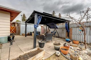 Photo 44: 115 Queensland Circle SE in Calgary: Queensland Detached for sale : MLS®# A2112471