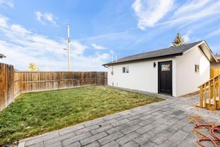 Photo 39: 64 Maple Court Crescent SE in Calgary: Maple Ridge Detached for sale : MLS®# A2120160