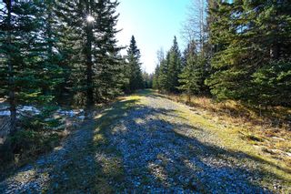 Photo 31: 20.02 Acres +/- NW of Cochrane in Rural Rocky View County: Rural Rocky View MD Land for sale : MLS®# A1065950