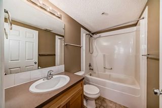 Photo 16: 1205 115 Prestwick Villas SE in Calgary: McKenzie Towne Apartment for sale : MLS®# A2130668