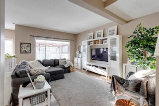 Photo 3: 113 Chapalina Place SE in Calgary: Chaparral Detached for sale : MLS®# A2018591
