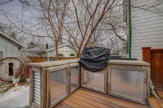 Photo 30: 234 22 Avenue NE in Calgary: Tuxedo Park Detached for sale : MLS®# A2113530