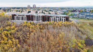 Photo 26: 216 15 Cougar Ridge Landing SW in Calgary: Patterson Apartment for sale : MLS®# A1210927