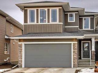 Photo 42: 196 Dawson Harbour Heights: Chestermere Detached for sale : MLS®# A2104889