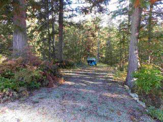 Photo 5: Pender Harbor Property and Land  For Sale