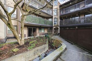Photo 30: 509 9867 MANCHESTER Drive in Burnaby: Cariboo Condo for sale in "BARCLAY WOODS" (Burnaby North)  : MLS®# R2865204