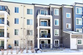 Photo 32: 2306 755 Copperpond Boulevard SE in Calgary: Copperfield Apartment for sale : MLS®# A1208710