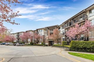 Main Photo: 312 11665 HANEY BYPASS in Maple Ridge: West Central Condo for sale : MLS®# R2704440
