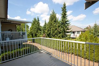 Photo 24: 6 3635 BLUE JAY Street in Abbotsford: Abbotsford West Townhouse for sale in "COUNTRY RIDGE" : MLS®# F1448866