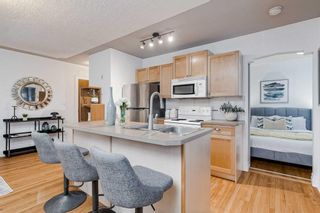Photo 13: 5 330 19 Avenue SW in Calgary: Mission Apartment for sale : MLS®# A2126034