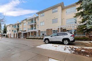 Photo 40: 319 9449 19 Street SW in Calgary: Palliser Apartment for sale : MLS®# A1050342