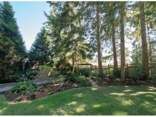 Photo 2: 13885 18TH Avenue in Surrey: Sunnyside Park Surrey House for sale (South Surrey White Rock)  : MLS®# F1431118