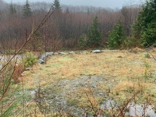 Photo 3: 1176 Sixth Ave in UCLUELET: PA Salmon Beach Land for sale (Port Alberni)  : MLS®# 835477