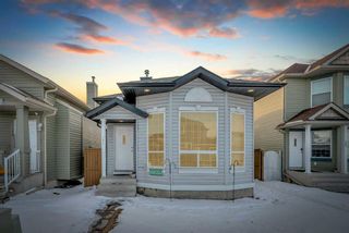 Main Photo: 171 Tarawood Grove NE in Calgary: Taradale Detached for sale : MLS®# A2118435