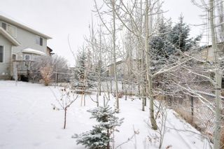 Photo 6: 133 Cougarstone Place SW in Calgary: Cougar Ridge Semi Detached for sale : MLS®# A1050548