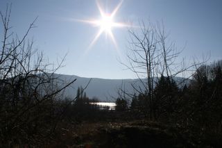 Photo 19: 3610 Hilliam Road in : Scotch Creek Land Only for sale (North Shuswap)  : MLS®# 10069906