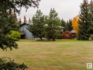 Photo 43: 55412 RGE RD 245: Rural Sturgeon County House for sale : MLS®# E4317445