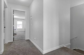 Photo 12: 13 Redstone Common NE in Calgary: Redstone Semi Detached (Half Duplex) for sale : MLS®# A2056433