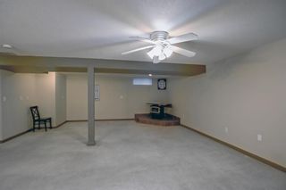 Photo 23: 14 Sunnyside Place SE: Airdrie Detached for sale : MLS®# A2009044
