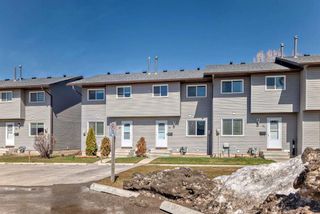 Photo 29: 30 6020 Temple Drive NE in Calgary: Temple Row/Townhouse for sale : MLS®# A2119215
