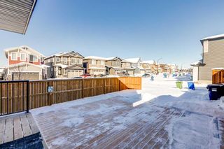 Photo 37: 161 Lucas Crescent NW in Calgary: Livingston Detached for sale : MLS®# A2113405