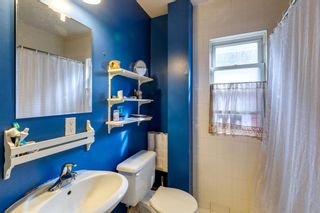 Photo 21: 1024 13 Avenue SW in Calgary: Beltline Detached for sale : MLS®# A1207457