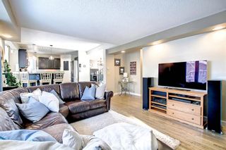 Photo 20: 156 Mt Robson Circle SE in Calgary: McKenzie Lake Detached for sale : MLS®# A2010510