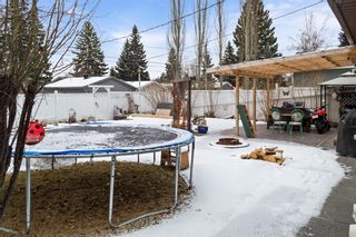 Photo 20: 9832 5 Street SE in Calgary: Acadia Detached for sale : MLS®# A1184105