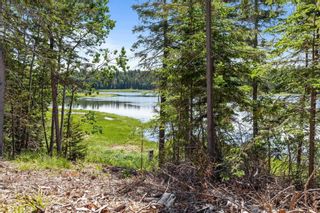 Photo 6: LOT 2 Tattrie Settlement Road in Tatamagouche: 103-Malagash, Wentworth Vacant Land for sale (Northern Region)  : MLS®# 202409036