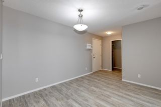 Photo 6: 3418 10 Prestwick Bay SE in Calgary: McKenzie Towne Apartment for sale : MLS®# A1252409