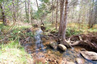 Photo 19: 151 Parker Mountain Road in Granville Ferry: Annapolis County Vacant Land for sale (Annapolis Valley)  : MLS®# 202309396