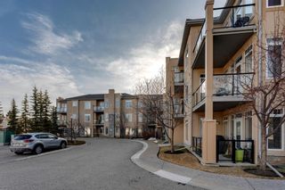 Photo 18: 304 2121 98 Avenue SW in Calgary: Palliser Apartment for sale : MLS®# A1093378