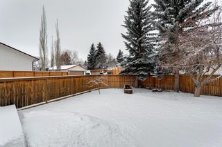 Photo 40: 303 Silver Valley Rise NW in Calgary: Silver Springs Detached for sale : MLS®# A1084837