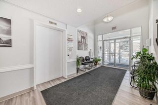 Photo 21: 202 5555 Falsbridge Drive NE in Calgary: Falconridge Apartment for sale : MLS®# A2118008