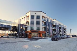 Photo 24: 225 383 Smith Street NW in Calgary: University District Apartment for sale : MLS®# A2011296