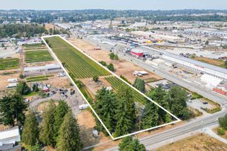Photo 7: 1963 TOWNLINE Road in Abbotsford: Poplar Agri-Business for sale : MLS®# C8058456