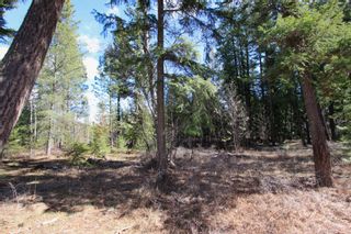 Photo 10: Lot B Zinck Road in Scotch Creek: Land Only for sale : MLS®# 10249220