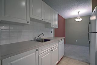 Photo 5: 327 820 89 Avenue SW in Calgary: Haysboro Apartment for sale : MLS®# A1170010