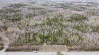 Photo 7: Lot 2 Little Egypt Road in Little Harbour: 108-Rural Pictou County Vacant Land for sale (Northern Region)  : MLS®# 202304739