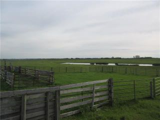 Photo 9: 250 Range Road: Rural Wheatland County Commercial Land for sale : MLS®# A2100557