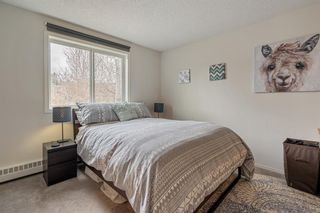 Photo 19: 310 1720 13 Street SW in Calgary: Lower Mount Royal Apartment for sale : MLS®# A1209577