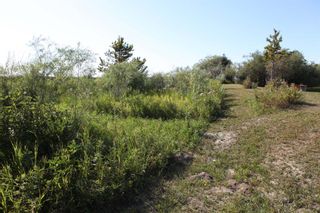 Photo 10: SE1/4 30-19-28-W4: Rural Foothills County Residential Land for sale : MLS®# A1140505
